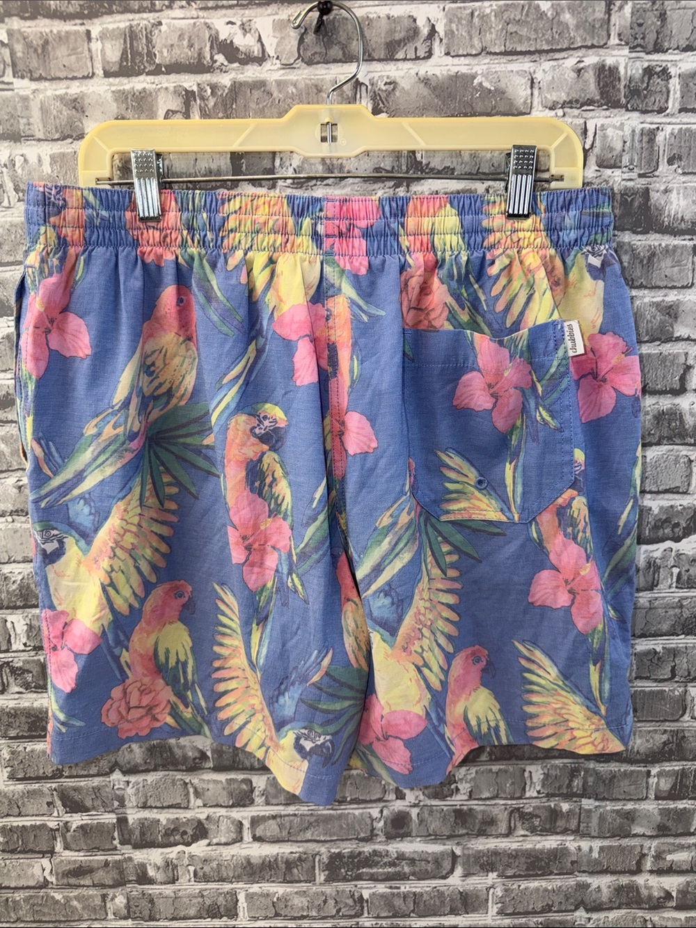 Chubbies Men's Blue Tropical Parrot Swim Shorts - Elastic Waist